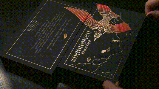 Shahnameh Playing Cards: Collector’s Edition